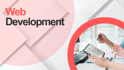 Web Development display picture of Digital Marketing Professional- digimellow